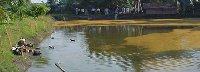 https://klyuniv.ac.in/app/uploads/2022/03/img2-1.jpg