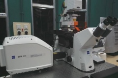 Confocal-microscopes