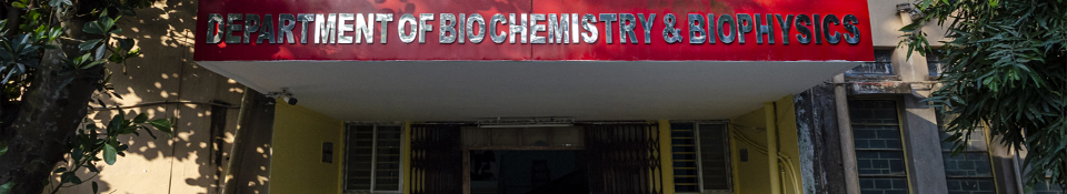 Department of Biochemistry and Biophysics
